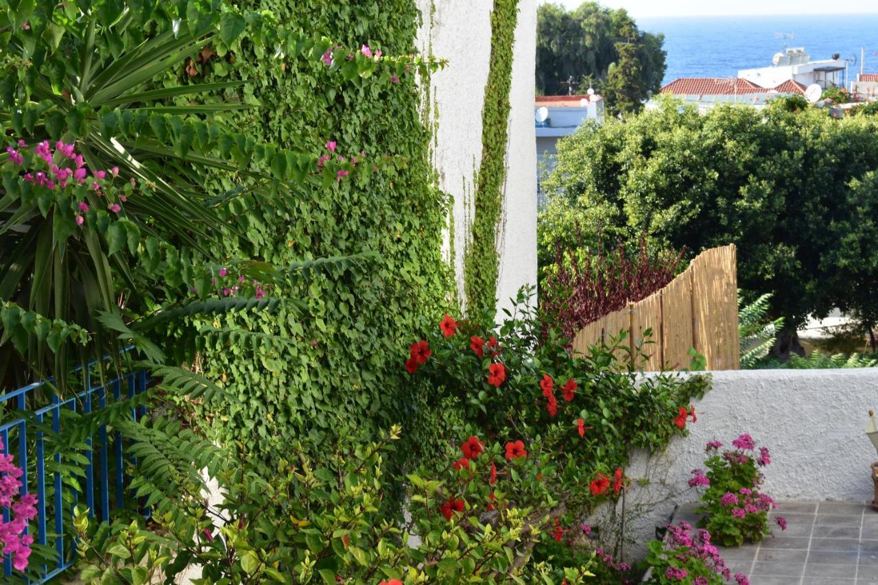Kasteli Studios & Apartments Апартаменты Panormos (Crete)